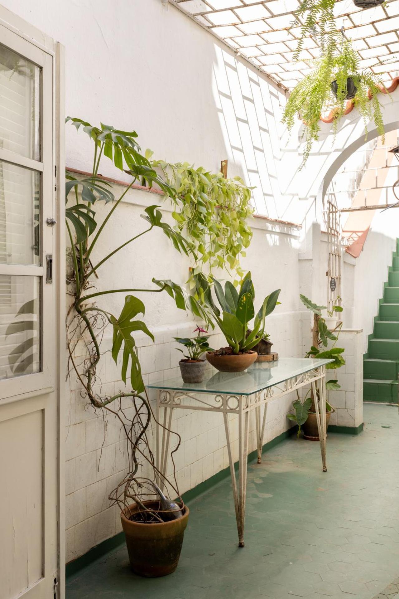 Ostello Chez Zany Boutique - Santa Teresa